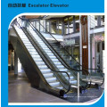 Экономичный эскалатор Bsdun Indoor Type